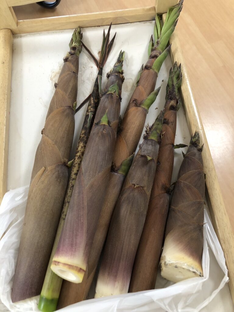 🤩はちく🤩 | のんびり村