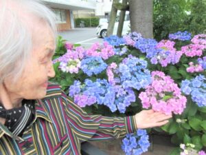 紫陽花と共に✨✨(介護付きホーム)