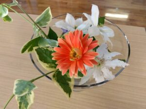 のんびり村花岡お花コレクション🌼(居宅介護支援事業所)