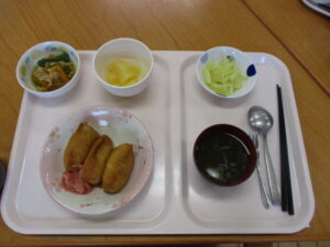 今日のお昼ご飯わぁ～(*´▽｀*)