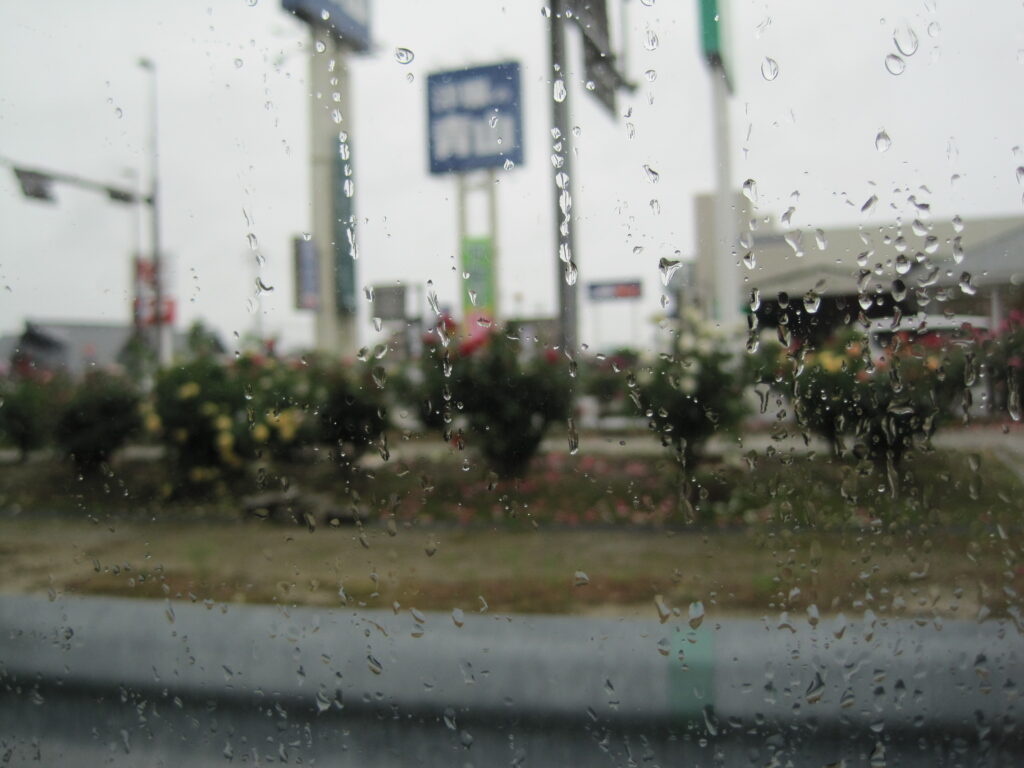 雨の雫と薔薇のかをり（小規模多機能）