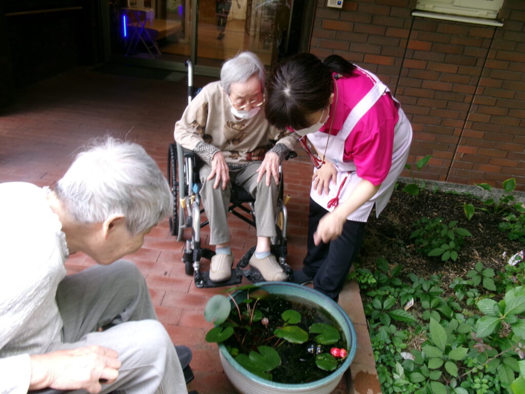 秋の訪れを楽しみつつ、白い曼殊沙華🎵